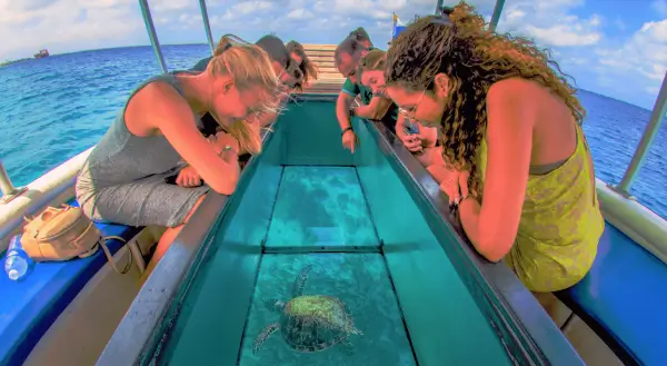 Glass-bottom Boat Ride Andaman