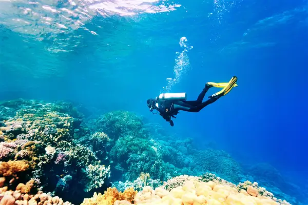Deep-sea Diving andaman